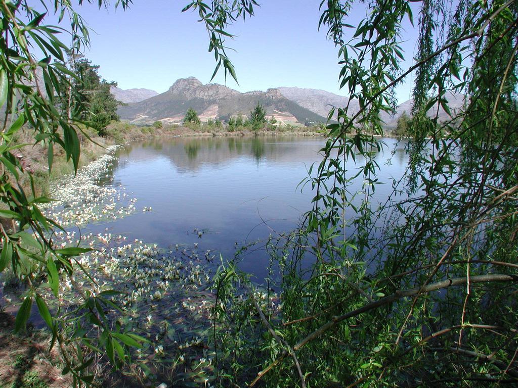 La Verdure Fruit Farm Franschhoek Camera foto
